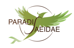 paradisaeidae2